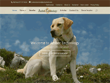 Tablet Screenshot of ambertech.com